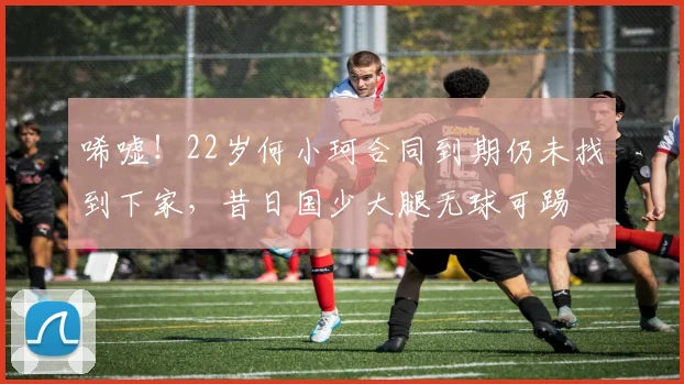 唏嘘！22岁何小珂合同到期仍未找到下家，昔日国少大腿无球可踢